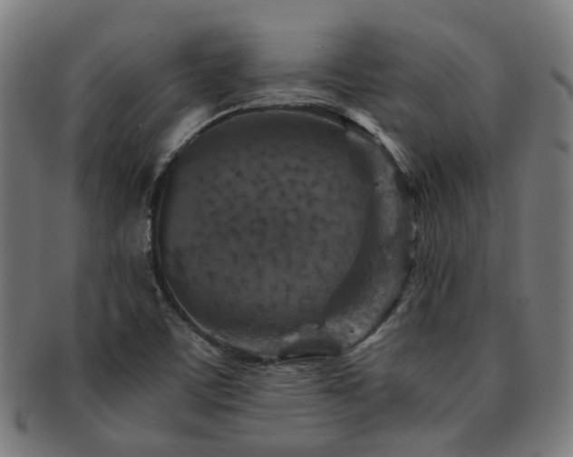 X0000091901459200709051353