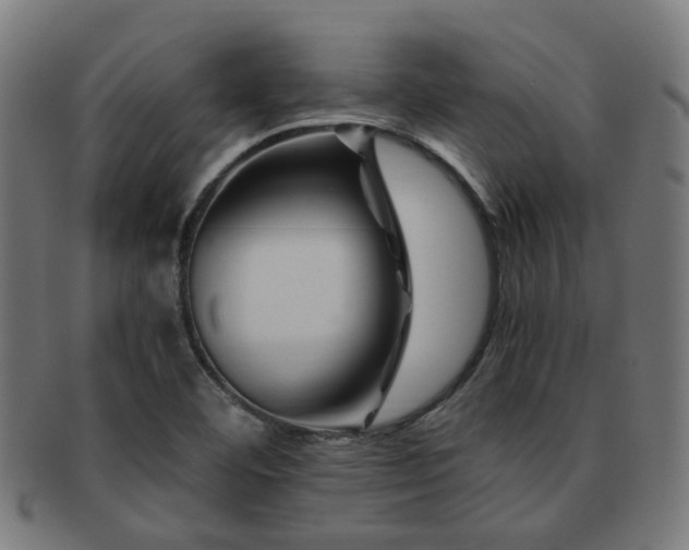 X0000091901460200709051353