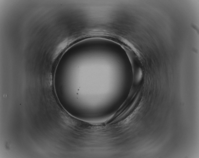 X0000091901461200709051353