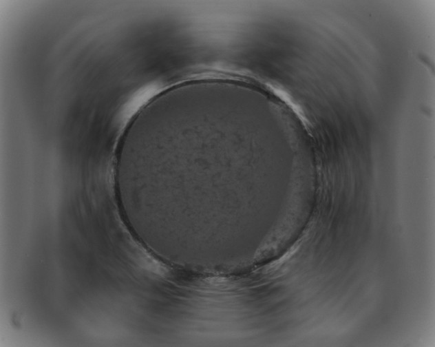 X0000091901463200709051353