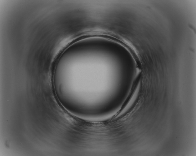 X0000091901464200709051353