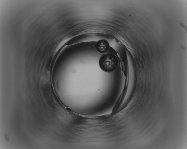 X0000091901465200709051353