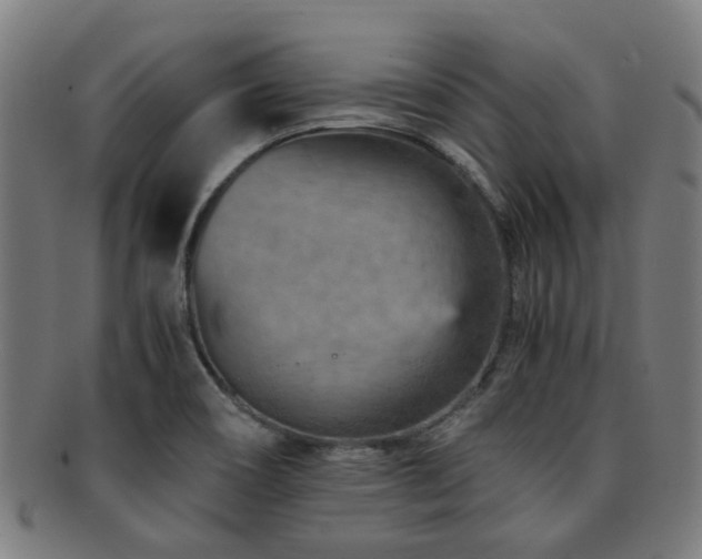 X0000091901466200709051353