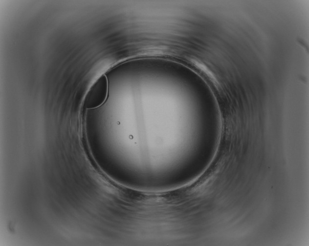 X0000091901467200709051353