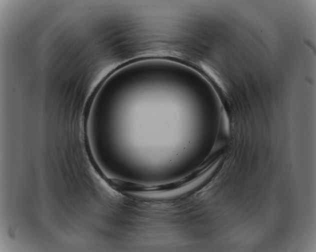 X0000091901468200709051353