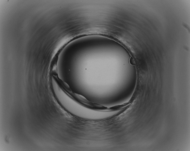 X0000091901469200709051353