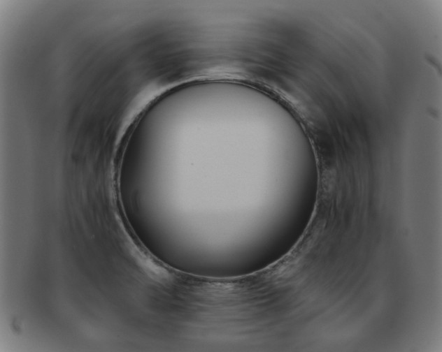 X0000091901470200709051353