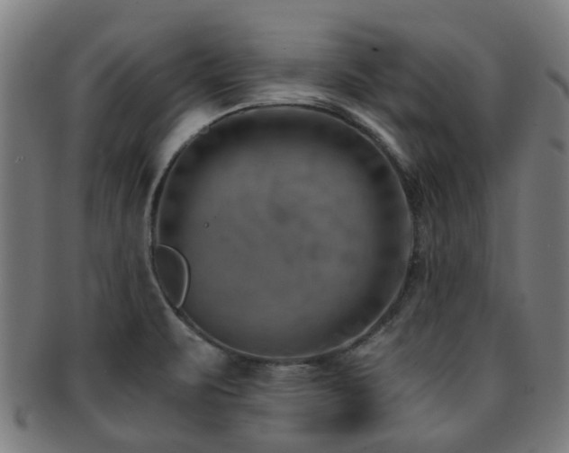 X0000091901471200709051353