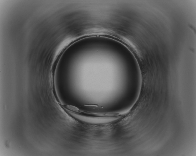 X0000091901472200709051353