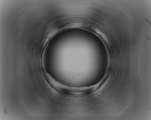 X0000091901473200709051353