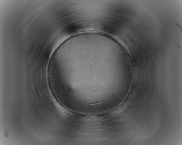 X0000091901474200709051353