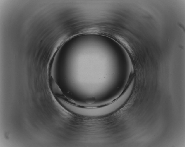 X0000091901475200709051353
