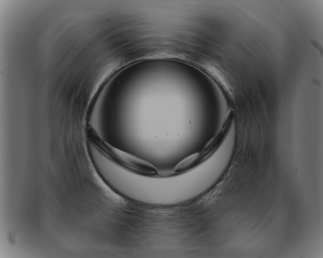 X0000091901476200709051353