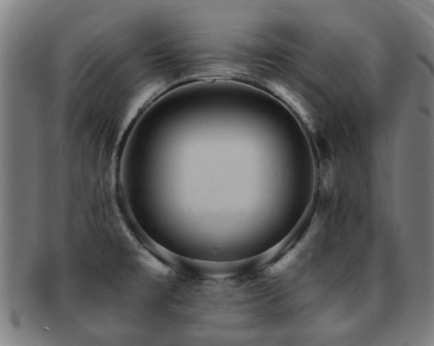 X0000091901477200709051353