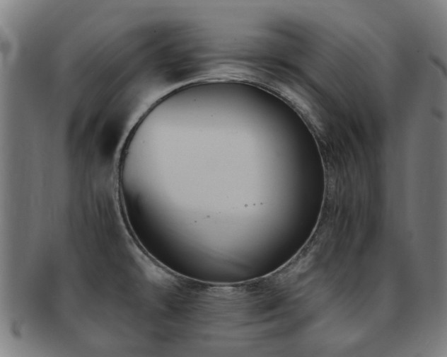 X0000091901478200709051353