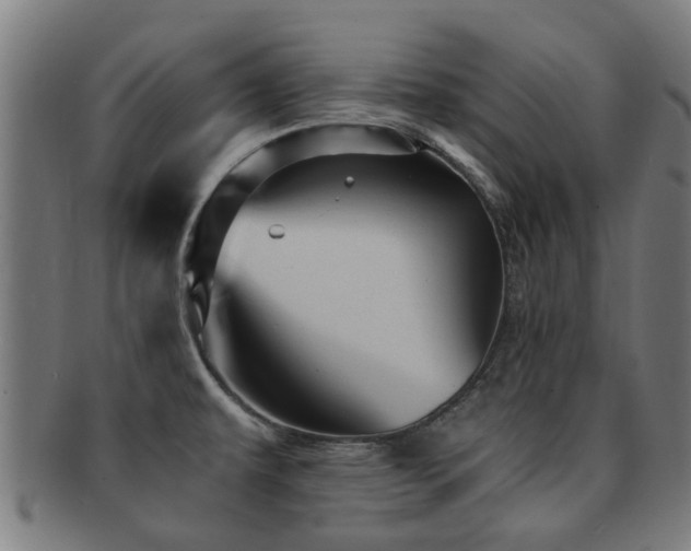 X0000091901479200709051353