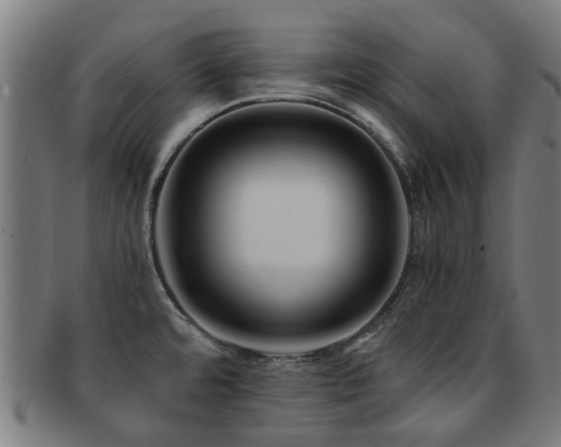 X0000091901480200709051353