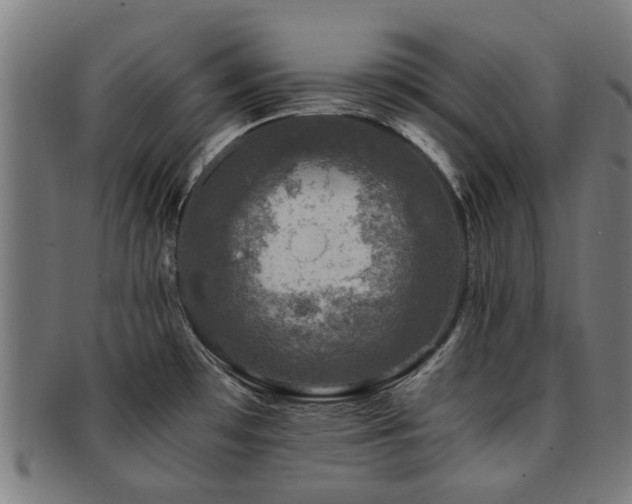 X0000091901481200709051353