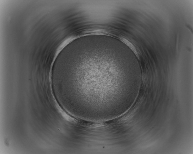 X0000091901482200709051353