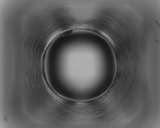 X0000091901483200709051353