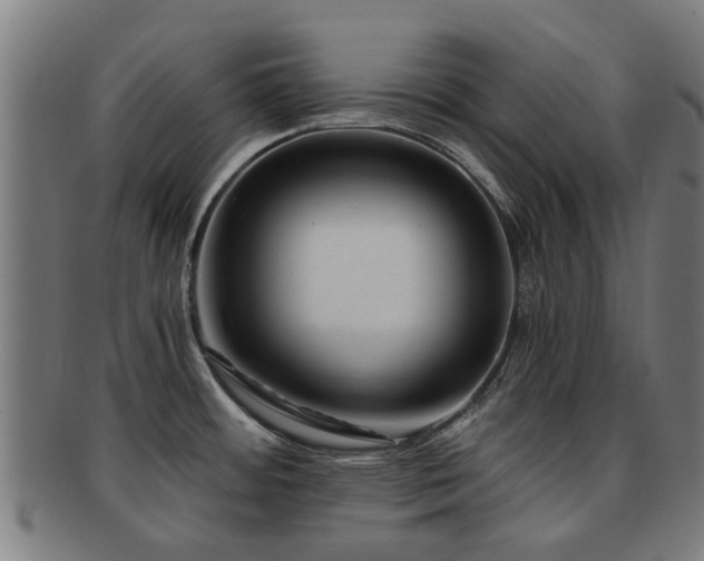 X0000091901484200709051353