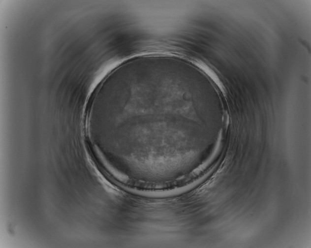X0000091901485200709051353
