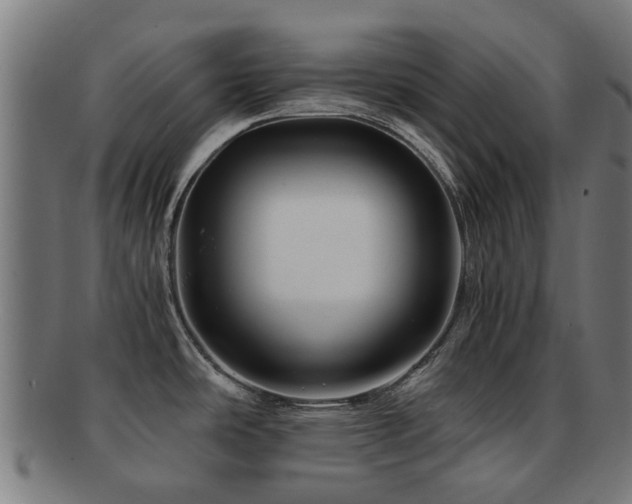 X0000091901486200709051353