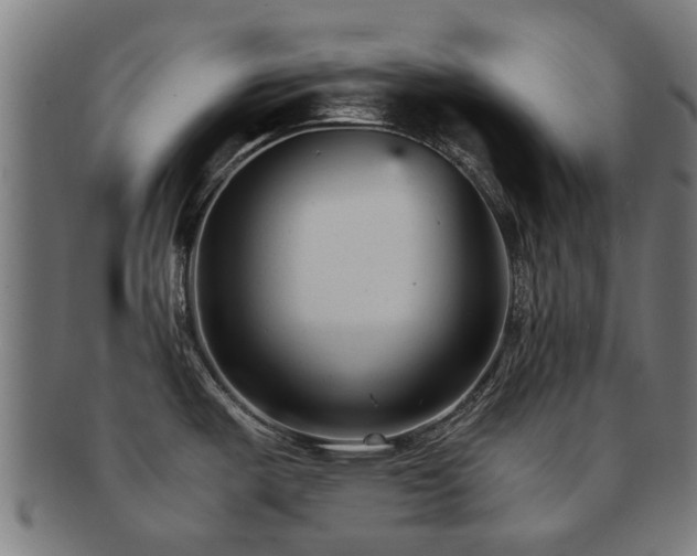 X0000091901487200709051353