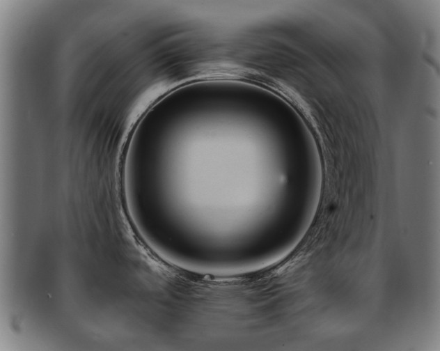 X0000091901488200709051353