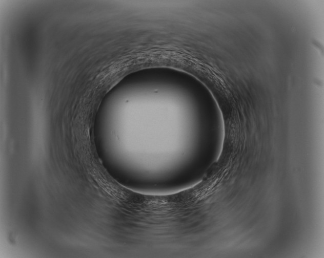 X0000091901489200709051352