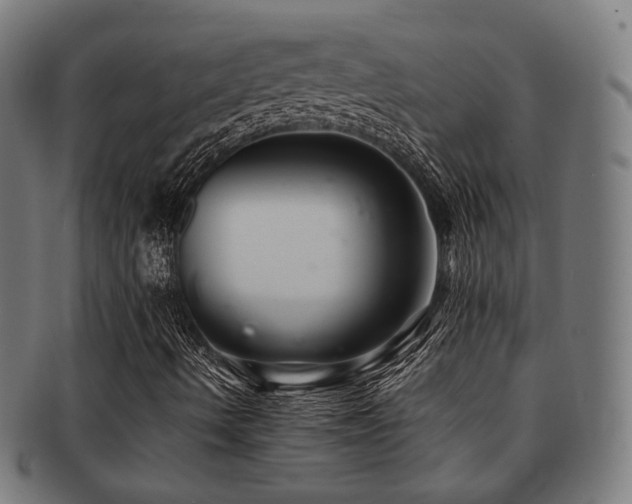 X0000091901490200709051352