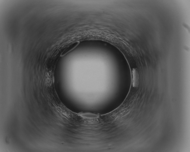 X0000091901491200709051352