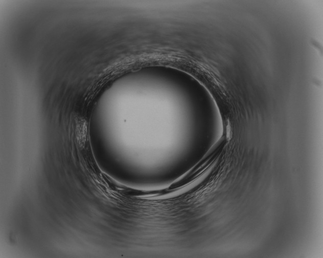 X0000091901492200709051352