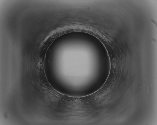 X0000091901495200709051352