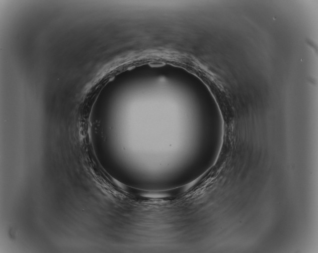 X0000091901496200709051352
