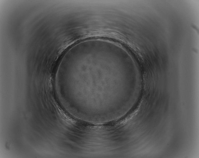 X0000091901497200709051352