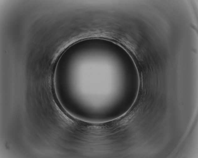 X0000091901500200709051352