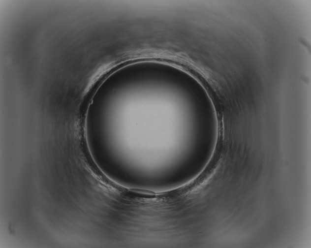 X0000091901501200709051352