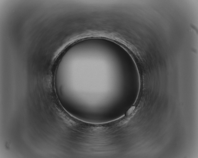 X0000091901502200709051352