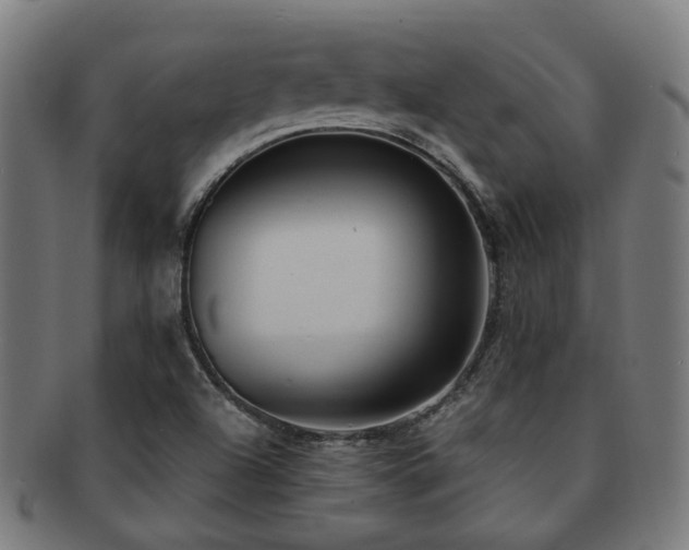 X0000091901504200709051352