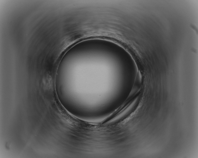 X0000091901505200709051352