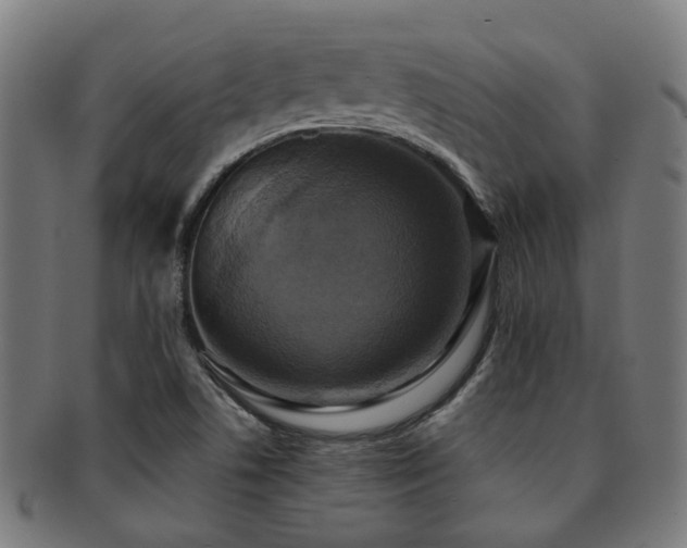 X0000091901506200709051352