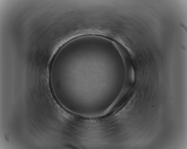 X0000091901508200709051352