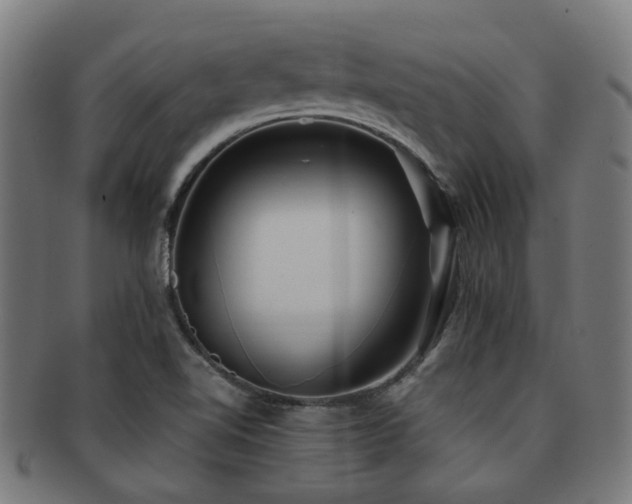 X0000091901510200709051352