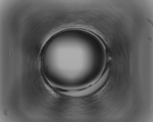 X0000091901511200709051352