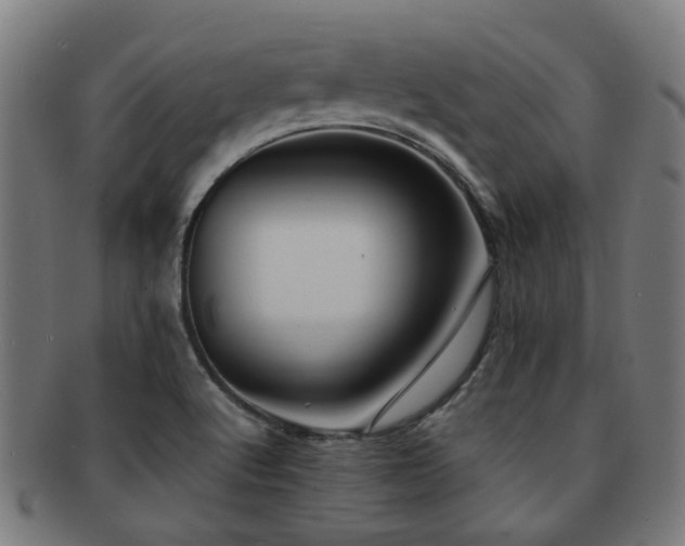 X0000091901512200709051352