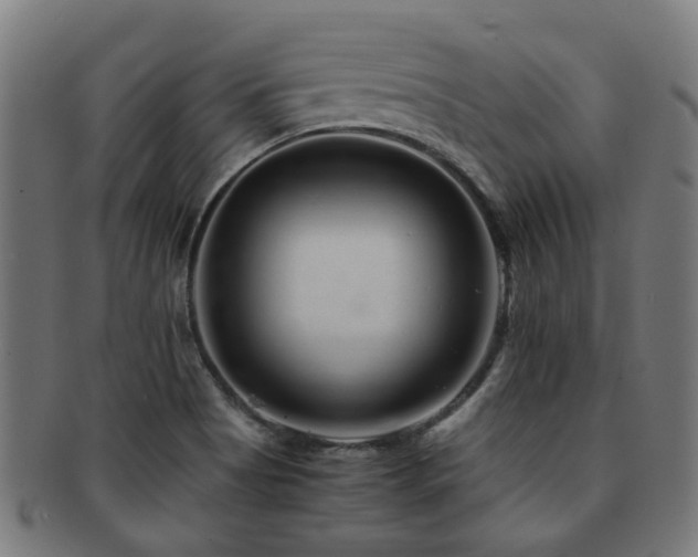 X0000091901513200709051352