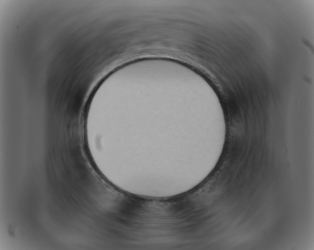 X0000091901514200709051353