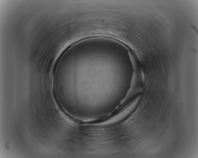 X0000091901515200709051353
