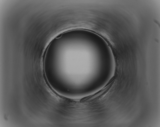 X0000091901516200709051353